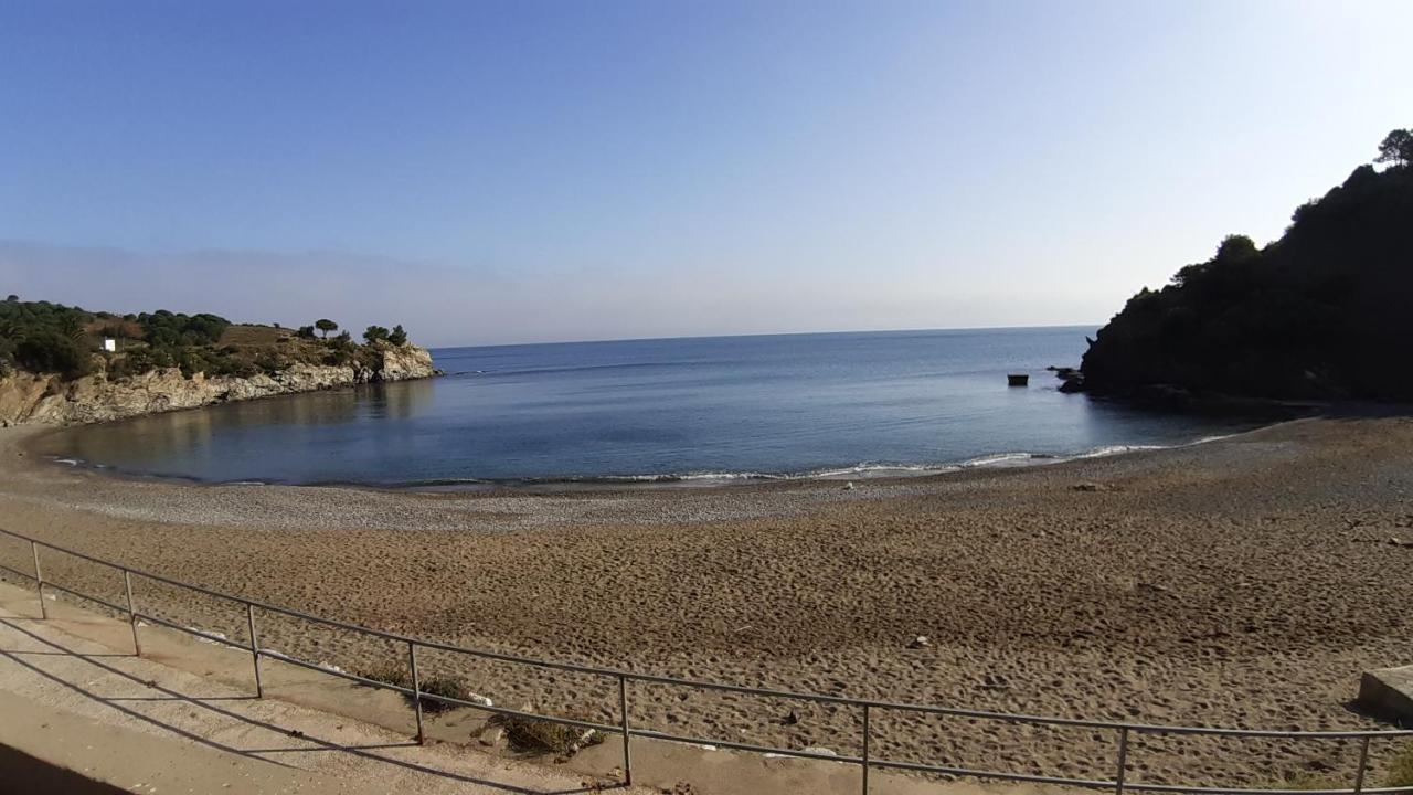 Cap D Osne - Banyuls Sur Mer - 2Mn Plage Exterior foto