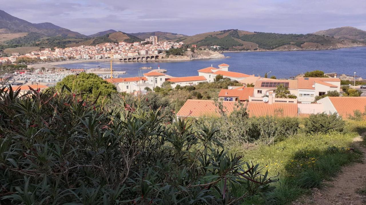 Cap D Osne - Banyuls Sur Mer - 2Mn Plage Exterior foto