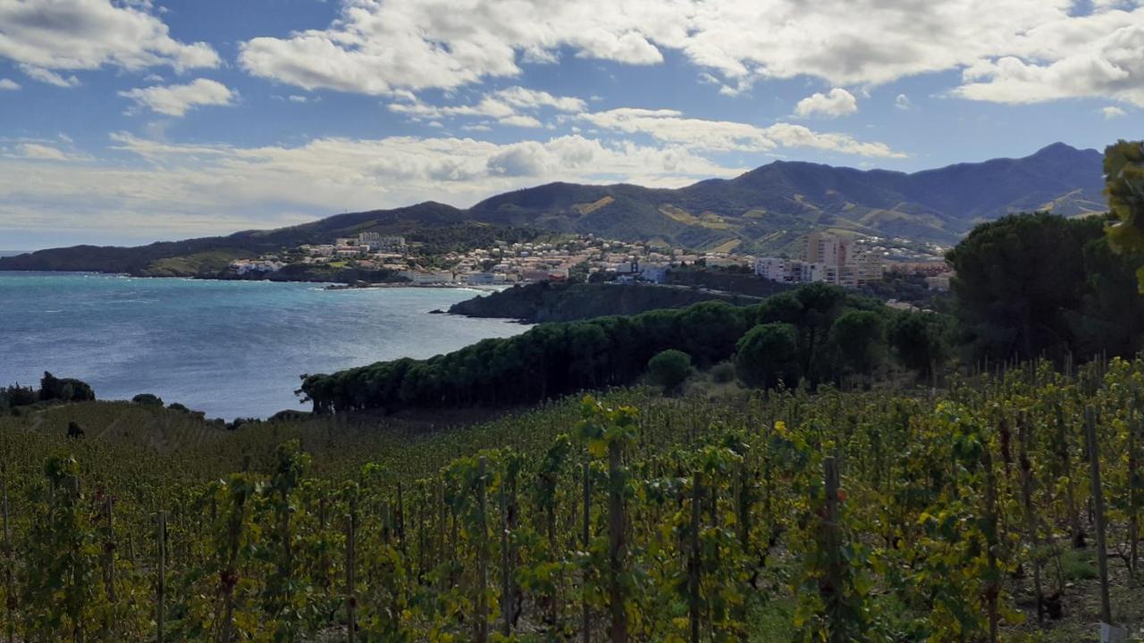 Cap D Osne - Banyuls Sur Mer - 2Mn Plage Exterior foto