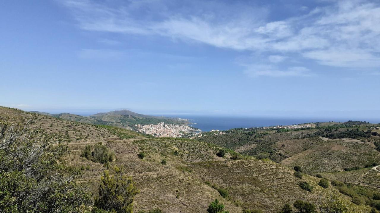 Cap D Osne - Banyuls Sur Mer - 2Mn Plage Exterior foto