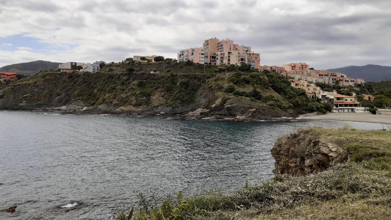 Cap D Osne - Banyuls Sur Mer - 2Mn Plage Exterior foto